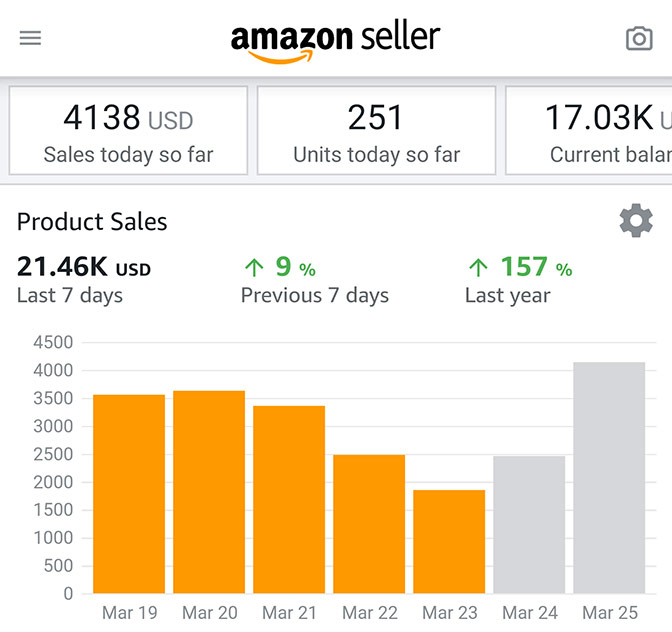 amazon sales