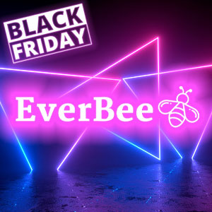 Everbee Black Friday Deal